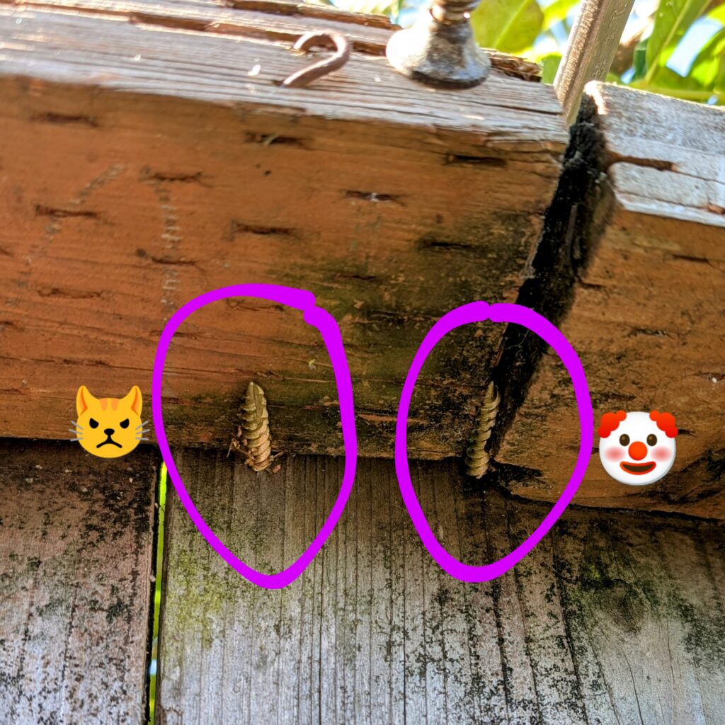 photograph of back of fence with markup circling two screws that completely failed to penetrate the fence rails, with pouting cat and clown emojis